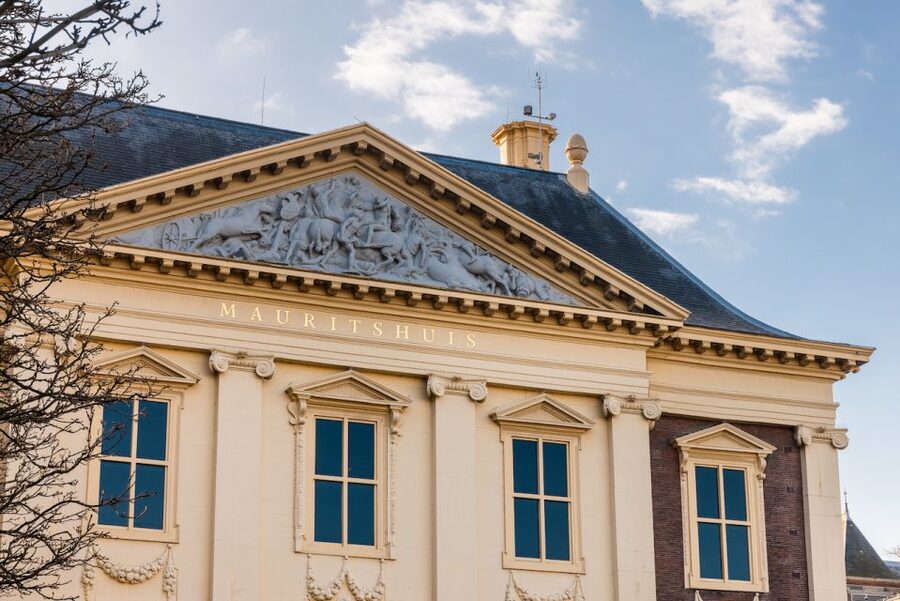 The Hague: Mauritshuis Entrance Ticket - A simple 90-minute route through the collection