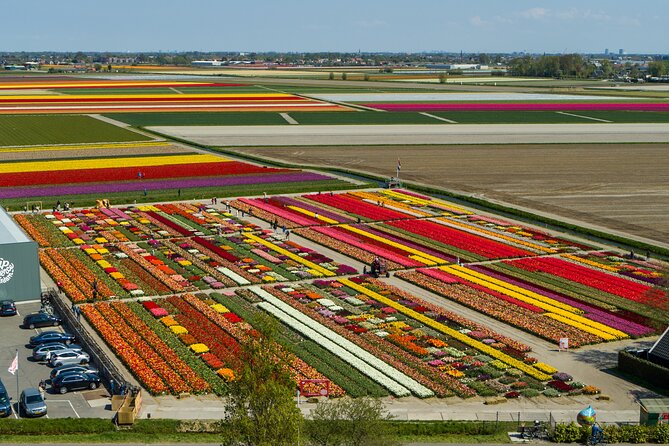 Tour to Giethoorn and Keukenhof Tulip Fields from Amsterdam - Practical details that affect your decision