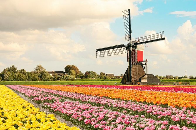Tulip Experience and Keukenhof Flower Gardens Tour from Amsterdam - The Tulip Experience explains more than the flowers