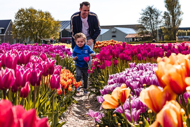 Tulip Experience and Keukenhof Flower Gardens Tour from Amsterdam - Keukenhof gives you the grand spring spectacle