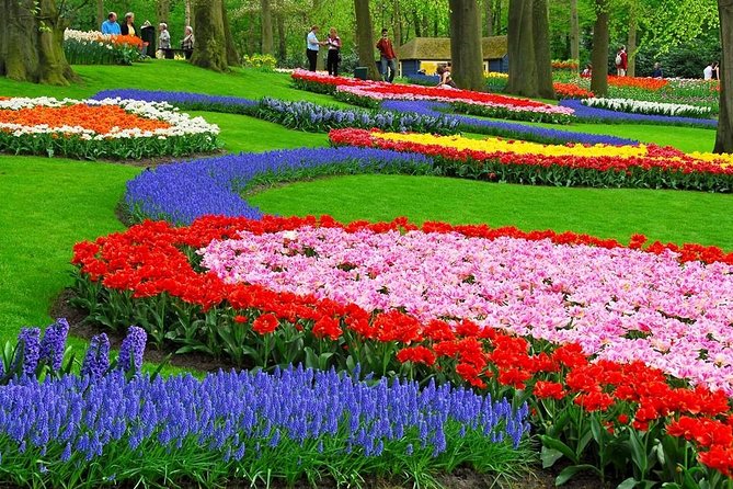 Tulip Experience and Keukenhof Flower Gardens Tour from Amsterdam - The season matters more than the calendar suggests
