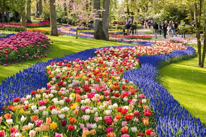 Tulip Experience and Keukenhof Flower Gardens Tour from Amsterdam - A million tulips and your own picked bunch