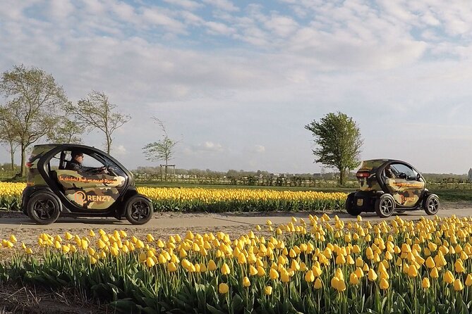 Tulip Fields near Keukenhof - Self-Drive Audio Tour for 2 People - What this electric tour is really like