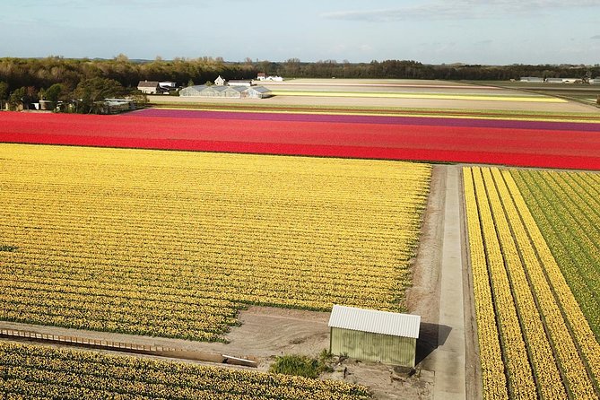 Tulip Fields near Keukenhof - Self-Drive Audio Tour for 2 People - How the price compares with a normal day at Keukenhof