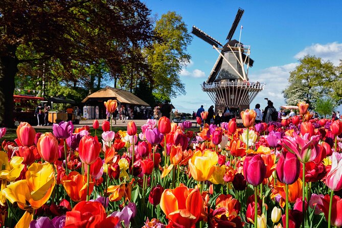 Tulip Paradise: Keukenhof Half-Day Private Tour - Why the tulip fields matter as much as Keukenhof