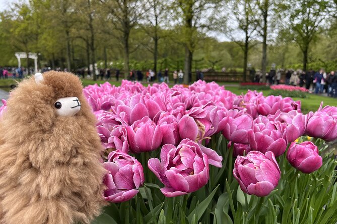 Tulip Paradise: Keukenhof Half-Day Private Tour - Who will enjoy this private flower day most