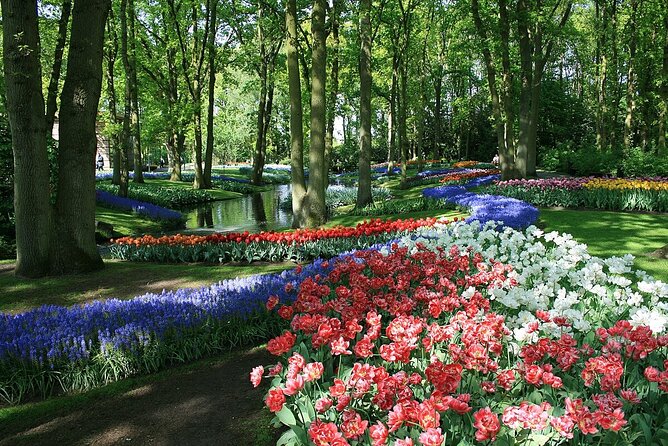Tulip Paradise: Keukenhof Half-Day Private Tour - Booking details that affect your decision