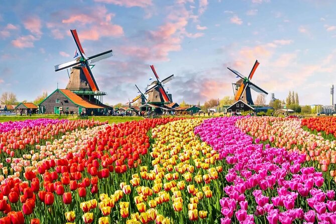 Tulip Paradise: Keukenhof Half-Day Private Tour - The 10:00 AM drive through fields and windmills