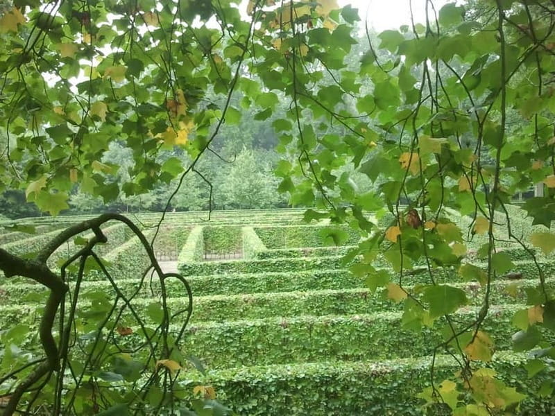 Utrecht: De Haar Castle, Park Entry Ticket - Why De Haar’s gardens deserve their own visit