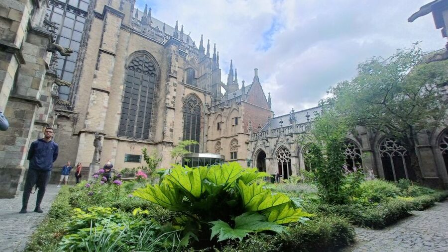 Utrecht: Guided Highlights Walking Tour - The castle square and Utrecht’s odd clues