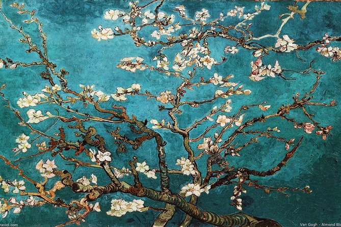 Van Gogh Museum Tour Reserved Entry Semi Private - The man behind the ear story
