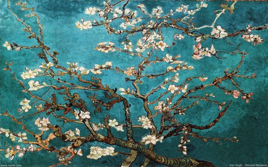 Van Gogh & Rijksmuseum Masterpieces Guided Tour 8 guests 5h - Should you book it?