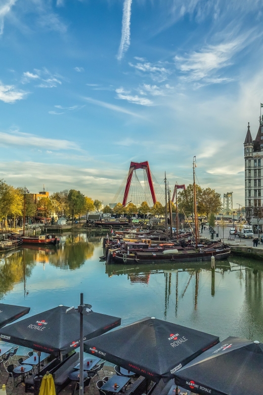 VIP Private Full Day Tour of the Netherlands - What the guide adds to the day