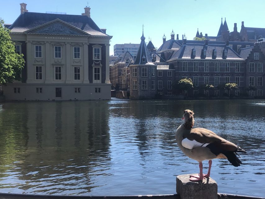 Visit the Girl with the Pearl Earring, The Hague & Delft - What the guide adds