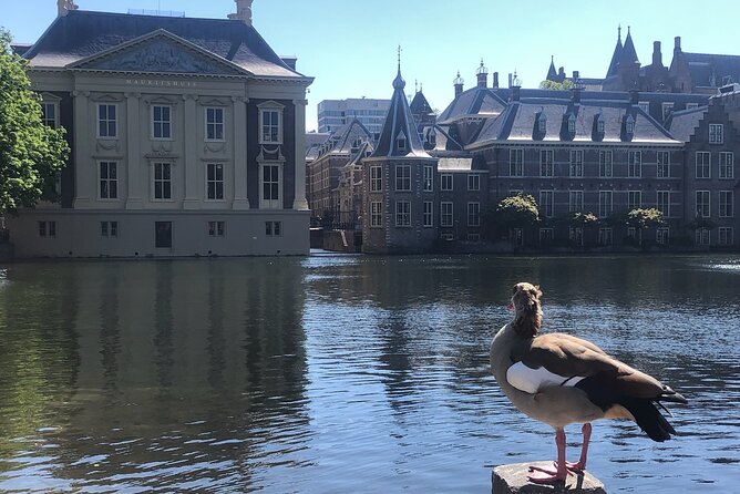 Visit the Girl with the Pearl Earring, The Hague & Delft City - Meeting Steven or Steve on a private tour