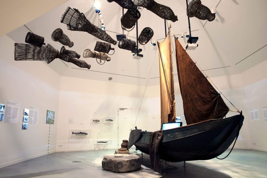 Werkendam: Boat Cruise and Biesbosch Museum Entry Ticket - What happens during the 75-minute cruise