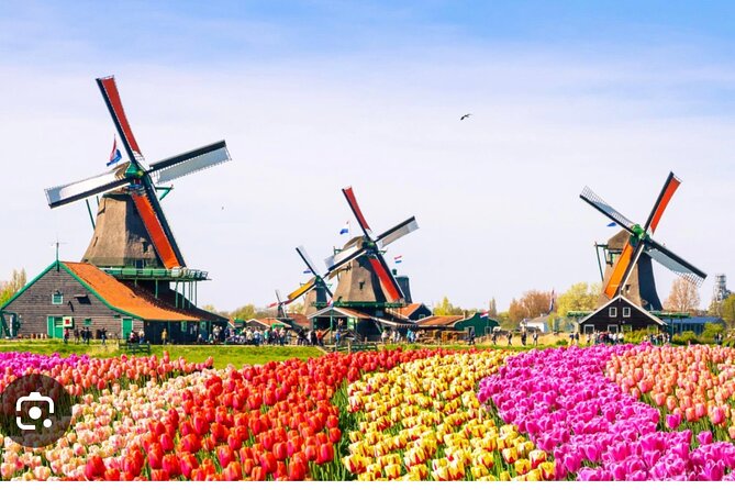 Windmills Country side tour Zaanse Schans-Cheesefactory-Volendam - Zaanse Schans: windmills, wooden houses, and working craft