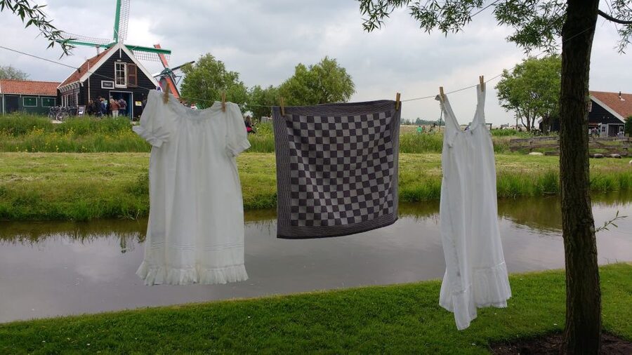 Zaanse Schans Windmills 4-Hour Tour in Italian - The train ride to Zaanse Schans