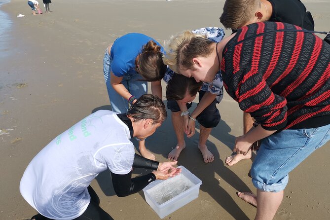 Zeeland Beach safari with Fishnet NL/DE - Weather, clothing, and the practical side